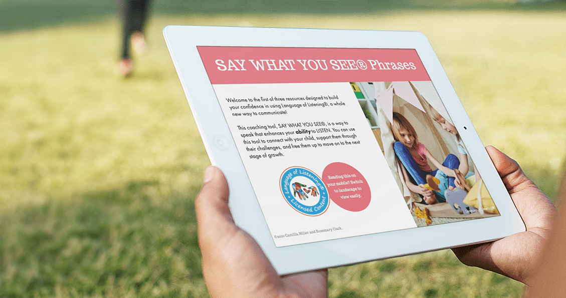 Say What You See® Phrases Booklet