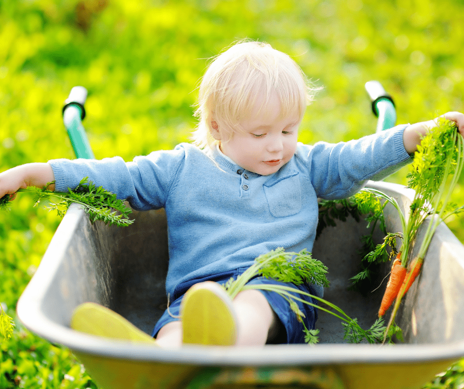 garden toys for toddlers